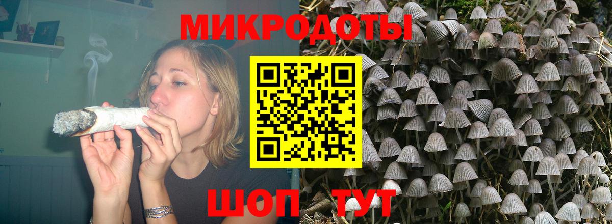 Галлюциногенные грибы Psilocybine cubensis Апшеронск