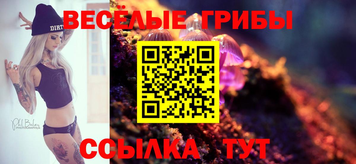 где продают наркотики  Галлюциногенные грибы MAGIC MUSHROOMS  Вход с VPN  Галлюциногенные грибы Psilocybe  Апшеронск 